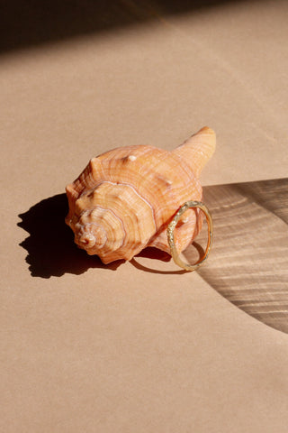 The Birth of Mother Collection