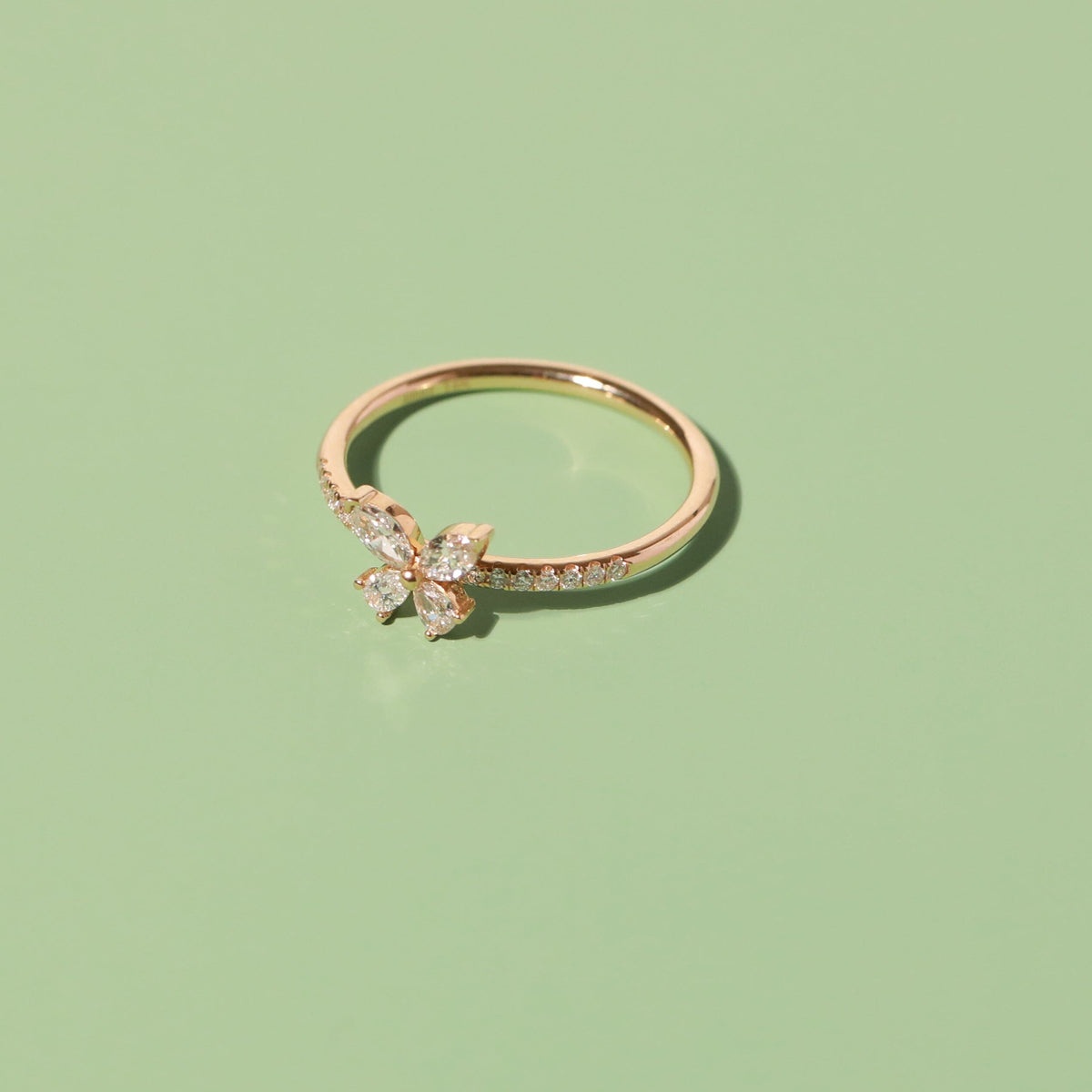 Flatlay Model
