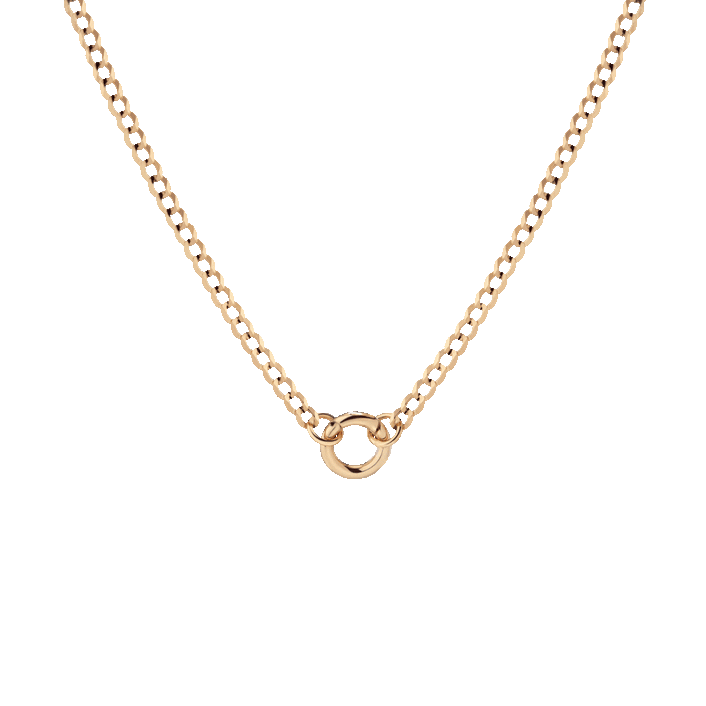 Curb Chain Charm Necklace