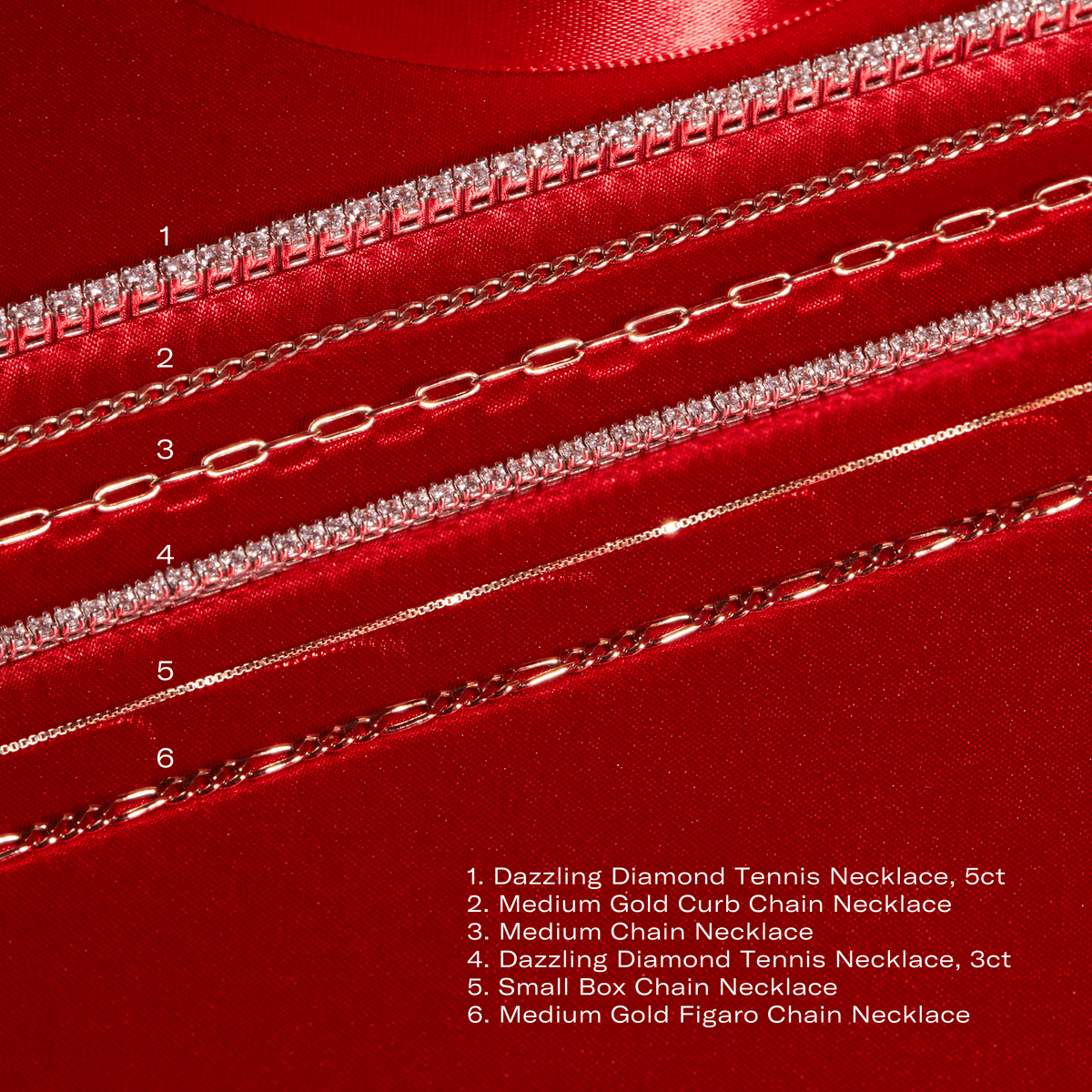 Medium Paperclip Chain Necklace