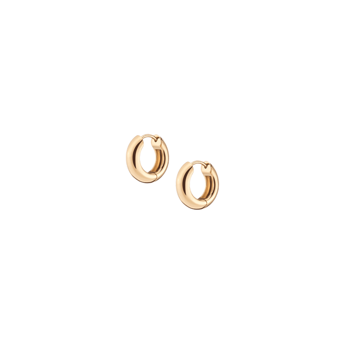 Small Chunky Hinged Hoop Earrings