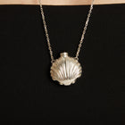 Seashell Bottle Necklace