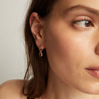 Curve Hoop Earrings