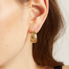 Shell Hinged Hoop Earrings