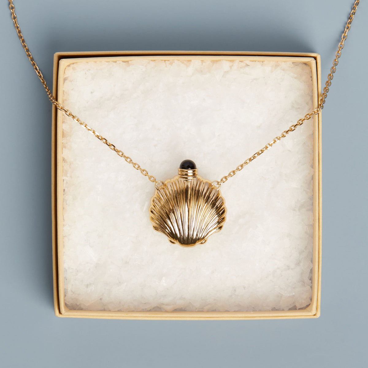 Seashell Bottle Necklace
