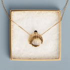 Seashell Bottle Necklace