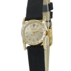 Vintage Rolex Orchid Watch