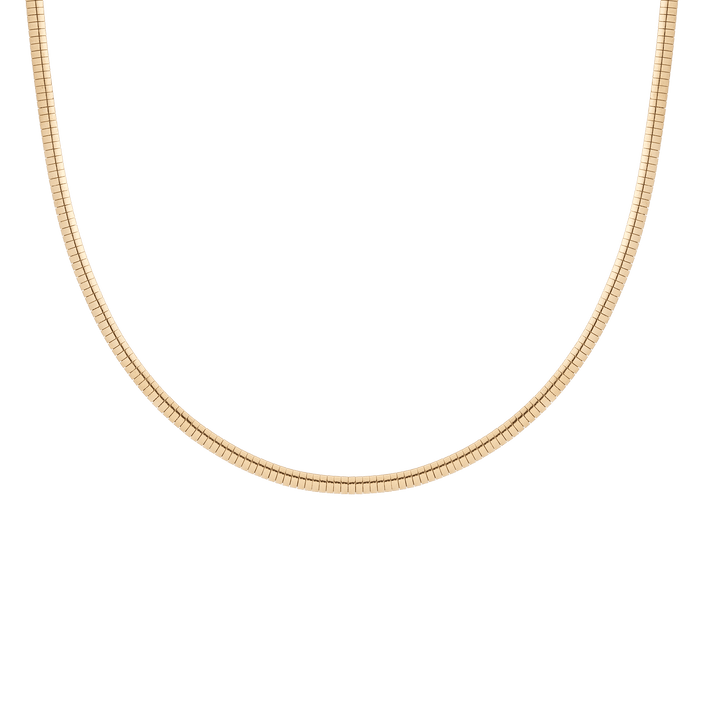 Omega Chain Necklace