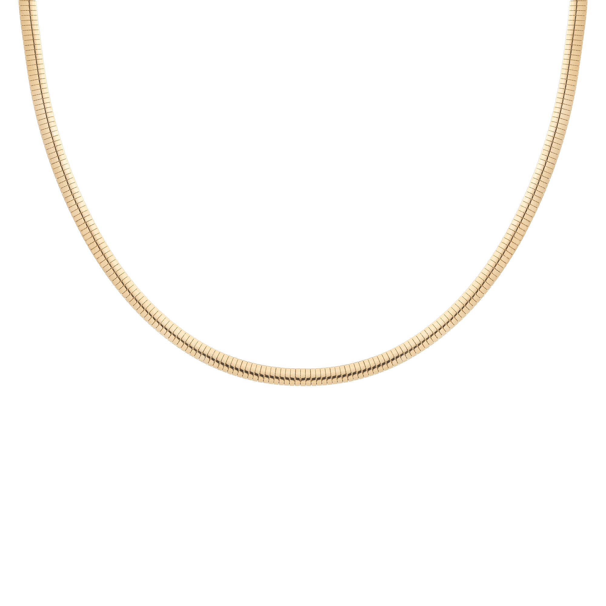 Omega Chain Necklace