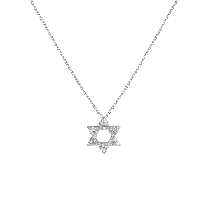 Lab Grown Diamond Star of David Necklace 14k White Gold 18in First