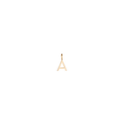 Classic Gold Letter Pendant
