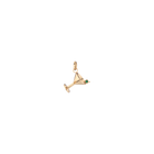 Dirty Martini Charm