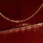 Medium Paperclip Chain Anklet
