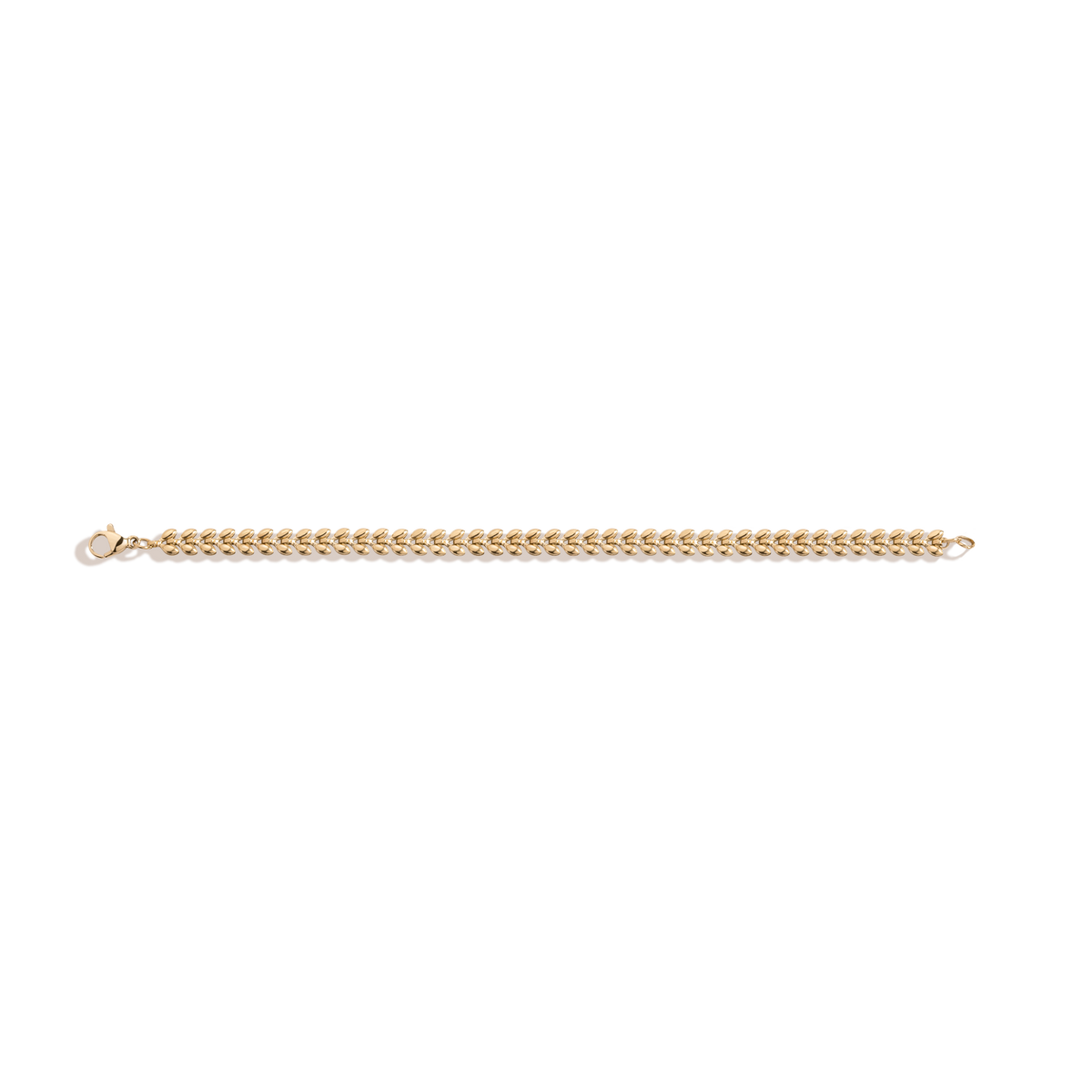 Delfina Bracelet Stainless Steel Yellow Gold 6.5in 7in 7.5in 