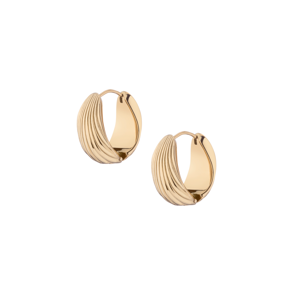 Shell Hinged Hoop Earrings Stainless Steel Yellow Gold 