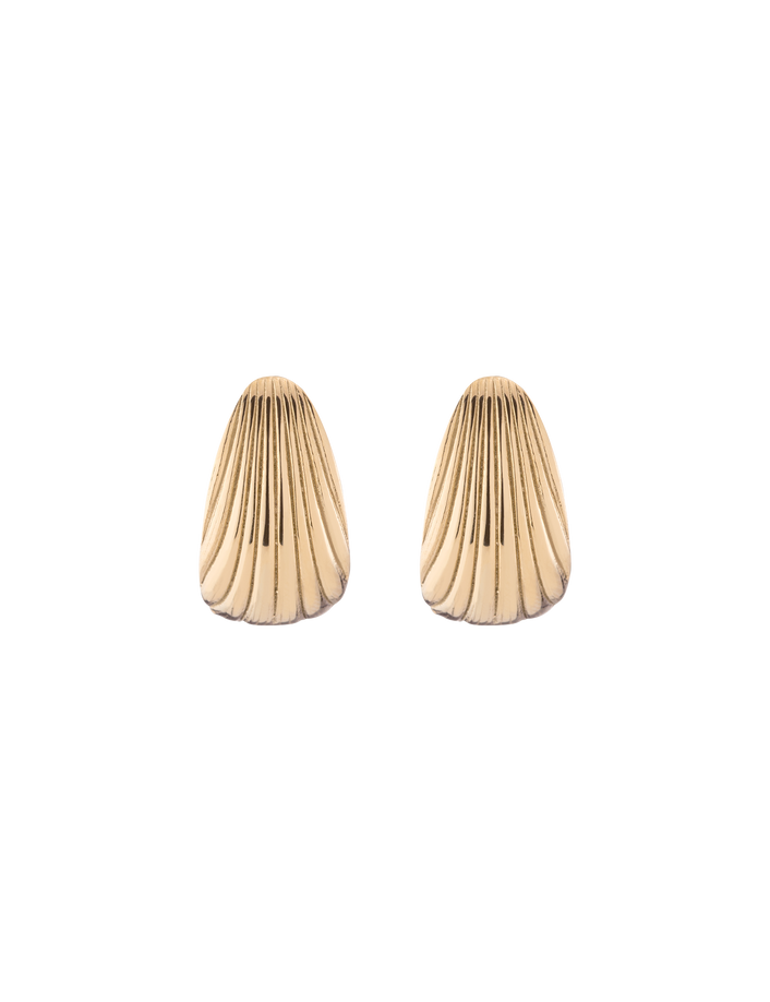 Shell Hinged Hoop Earrings Stainless Steel Yellow Gold First