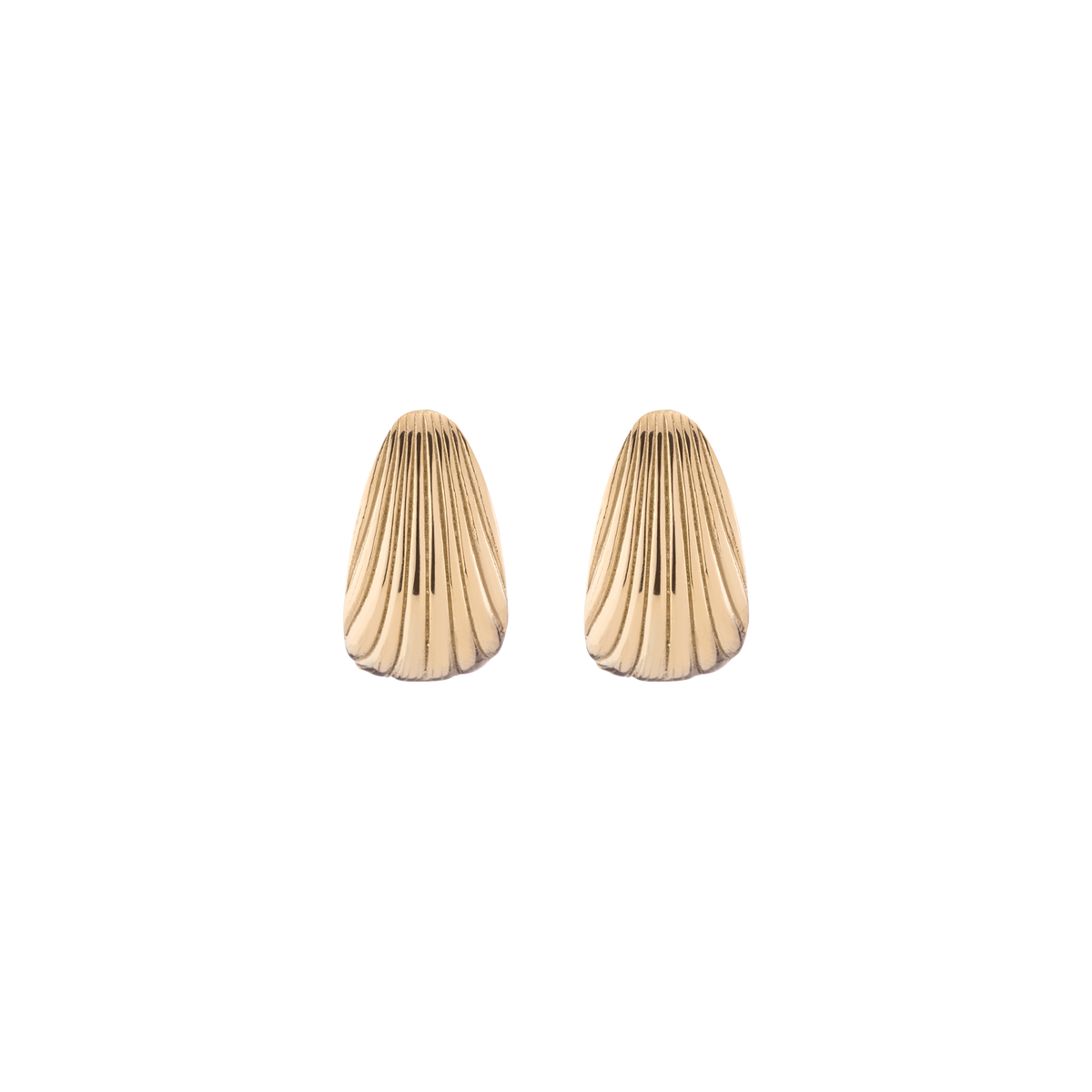 Shell Hinged Hoop Earrings Stainless Steel Yellow Gold First