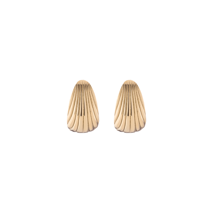 Shell Hinged Hoop Earrings