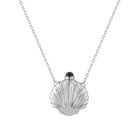 Seashell Bottle Necklace