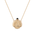 Seashell Bottle Necklace