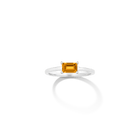 Birthstone Baguette Ring - Garnet