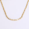 Video of Double Clasp Chain Necklace on white background