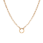 Rolo Chain Charm Necklace