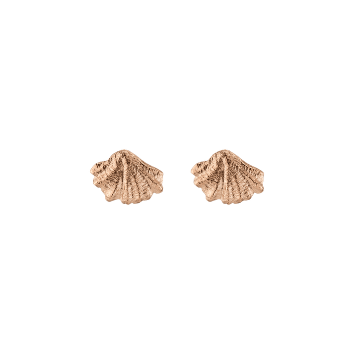 AURATE X KERRY: Venus Gold Stud Earrings