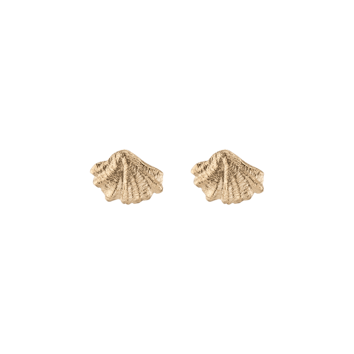 AURATE X KERRY: Venus Gold Stud Earrings