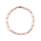 Large Paperclip Chain Anklet