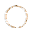 Large Paperclip Chain Anklet