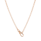 Gold Rolo Chain Necklace