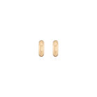 Small Chunky Hinged Hoop Earrings