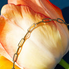 Large Paperclip Chain Anklet