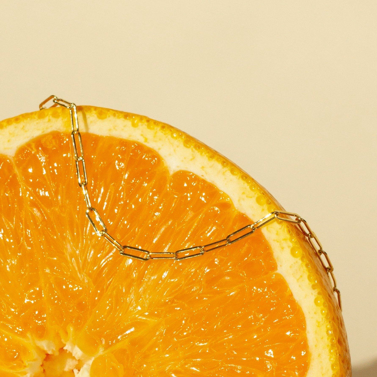 Medium Paperclip Chain Anklet