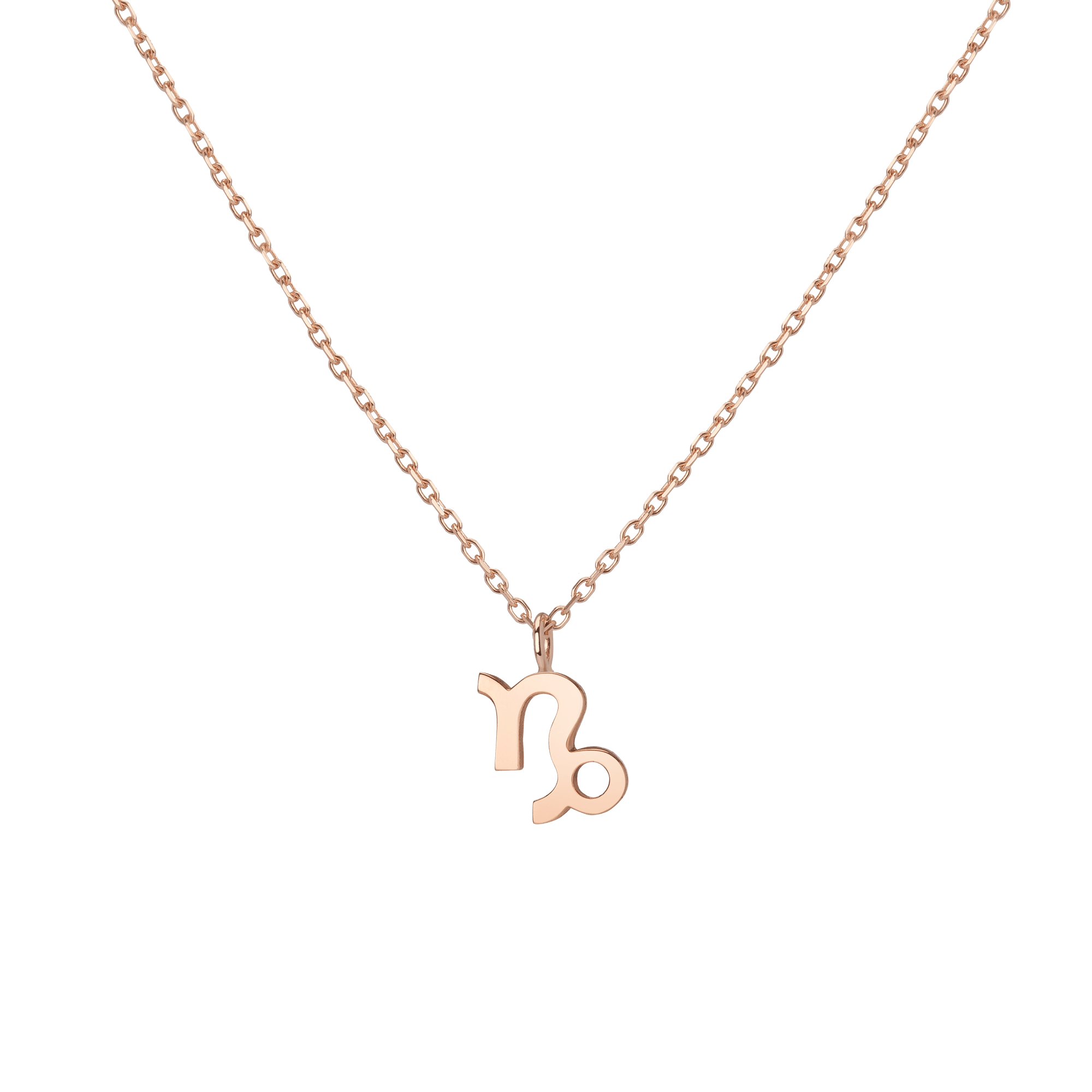 Gold Zodiac Necklace in Yellow, Rose or White Gold