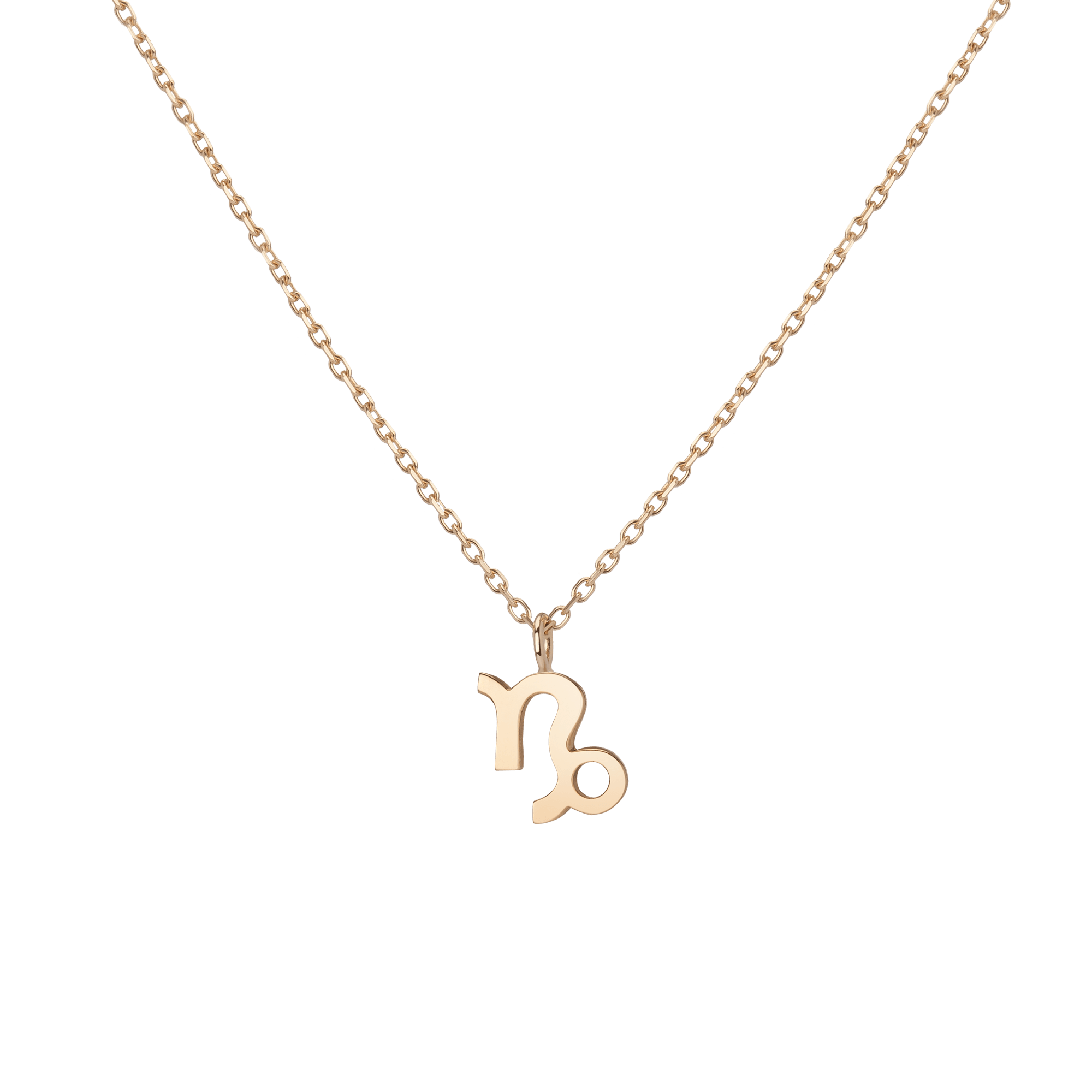 Gold Zodiac Necklace in Yellow, Rose or White Gold