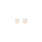 Zodiac Stud Earrings