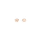 Zodiac Stud Earrings