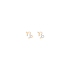 Zodiac Stud Earrings