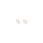 Zodiac Stud Earrings