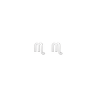 Zodiac Stud Earrings