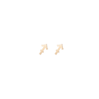 Zodiac Stud Earrings
